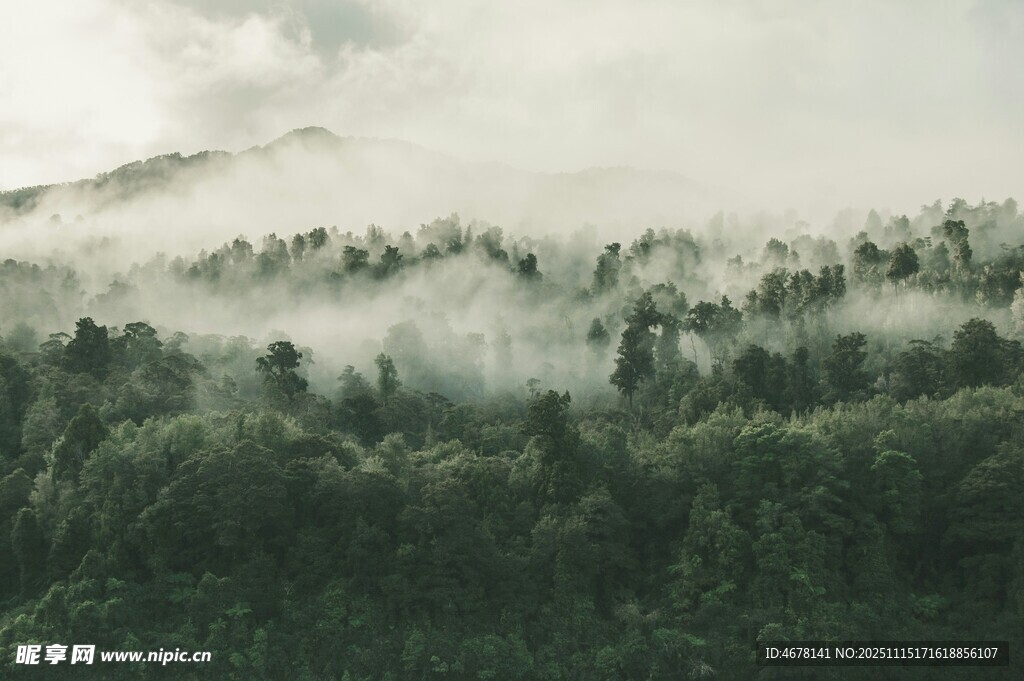 山林间云雾缭绕的静谧景象