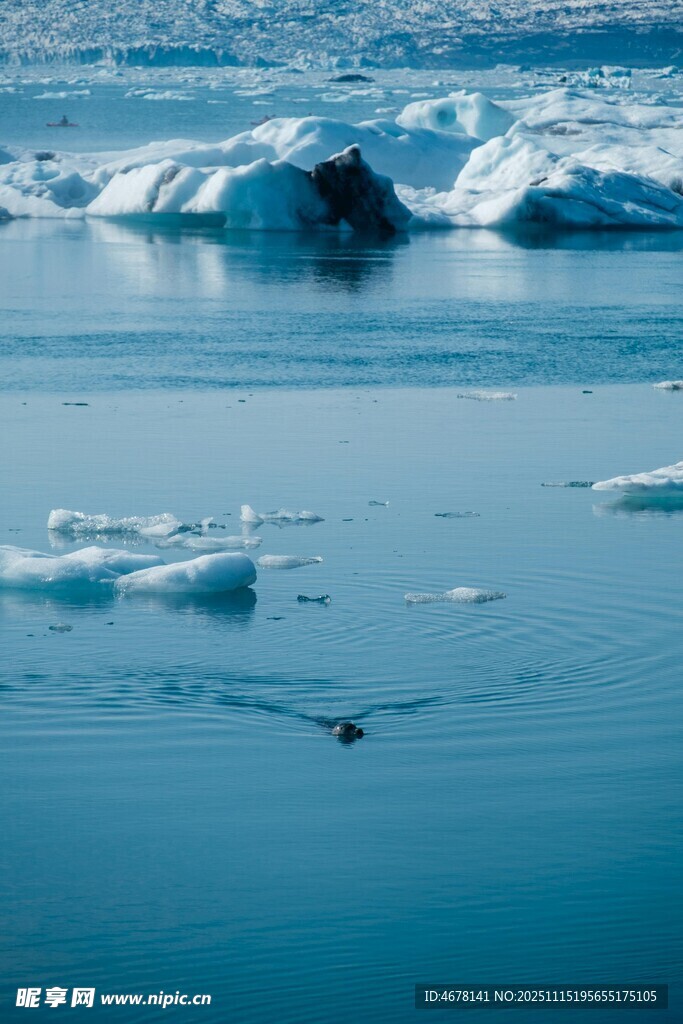 蓝色海洋中的浮冰景象