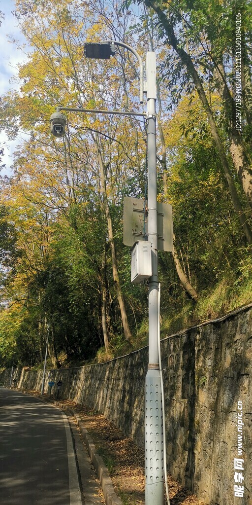 秋日林间的路灯监控小道