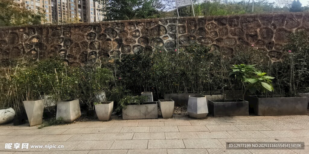 户外整齐排列的盆栽植物