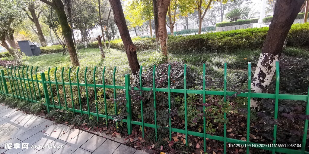 绿色铁艺栅栏 树木环绕