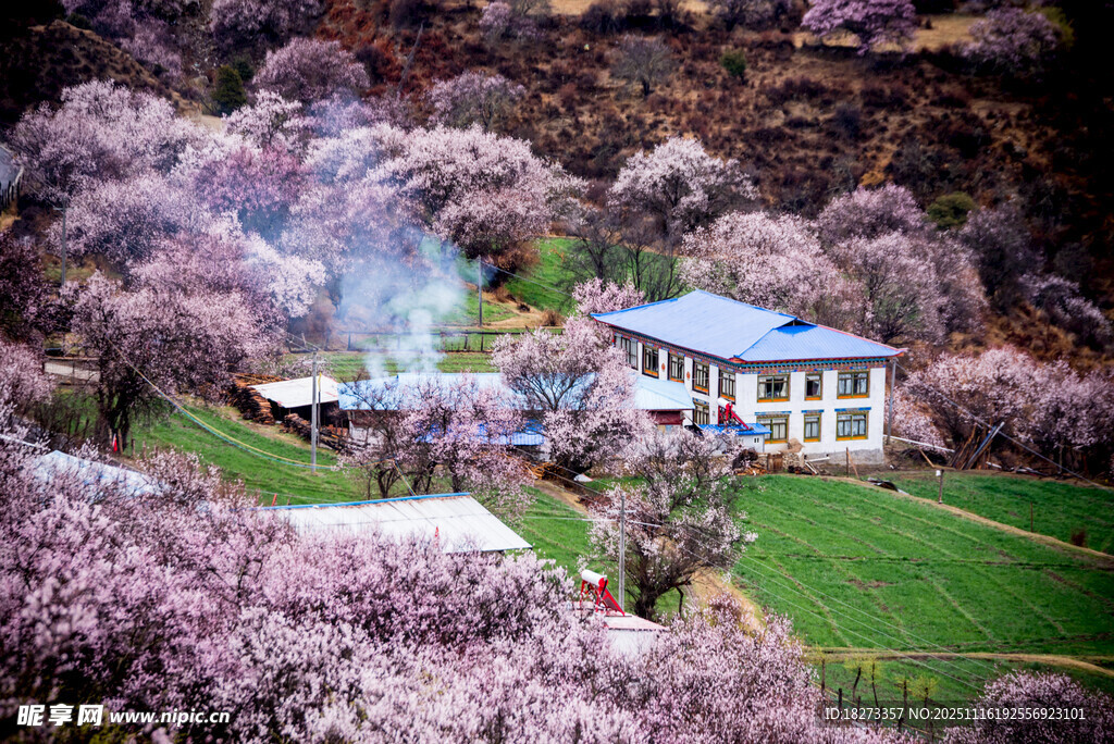 春日桃源小屋美景