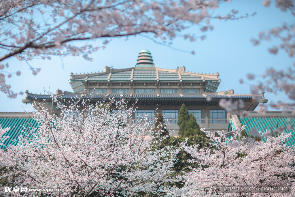 樱花掩映下的古典建筑