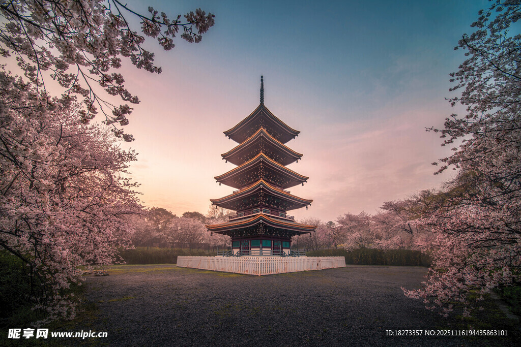 樱花环绕的古朴宝塔