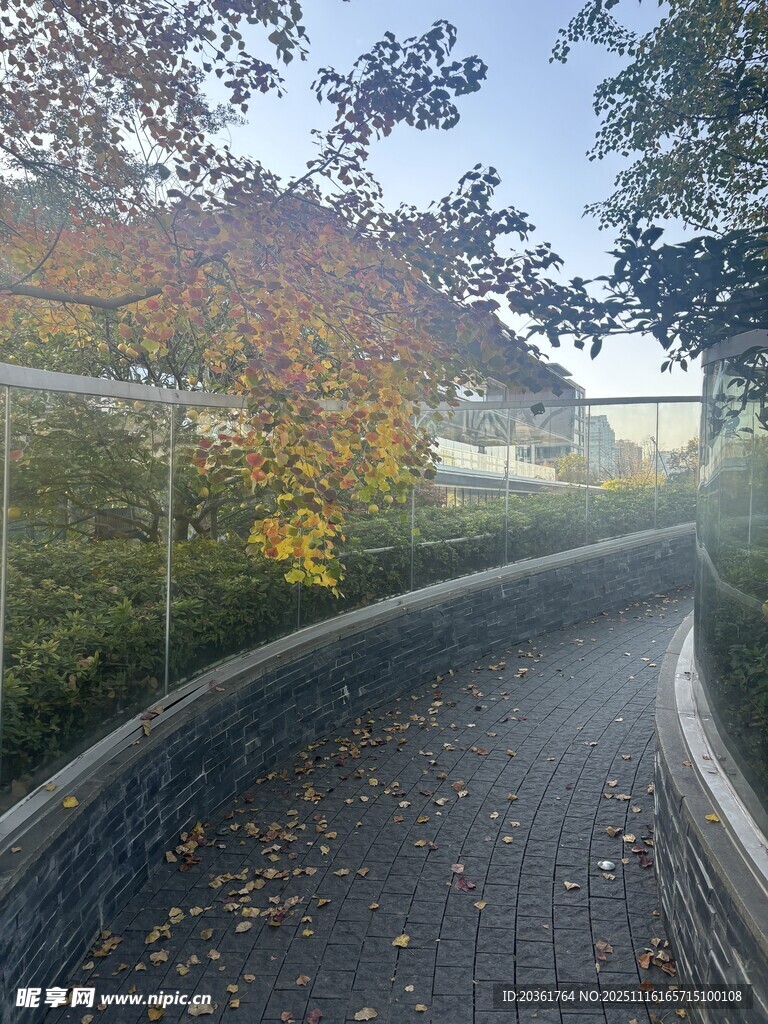 秋日蜿蜒小路风景