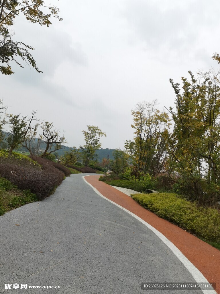 蜿蜒林间小路自然景致