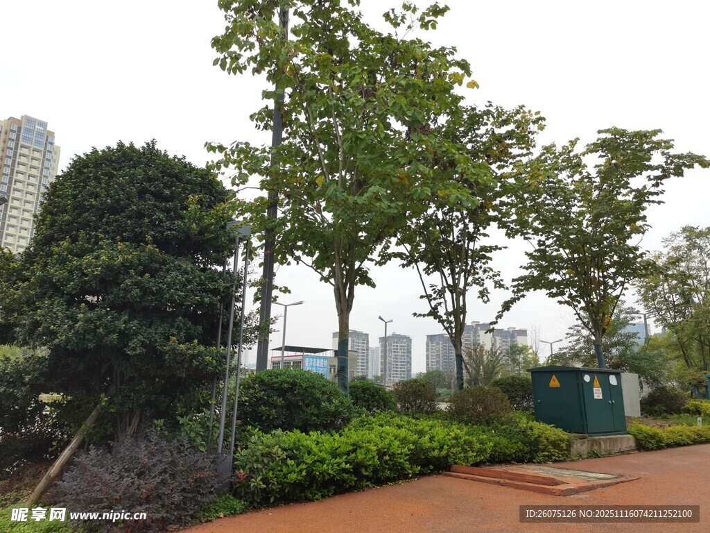 城市中的绿树与景观步道