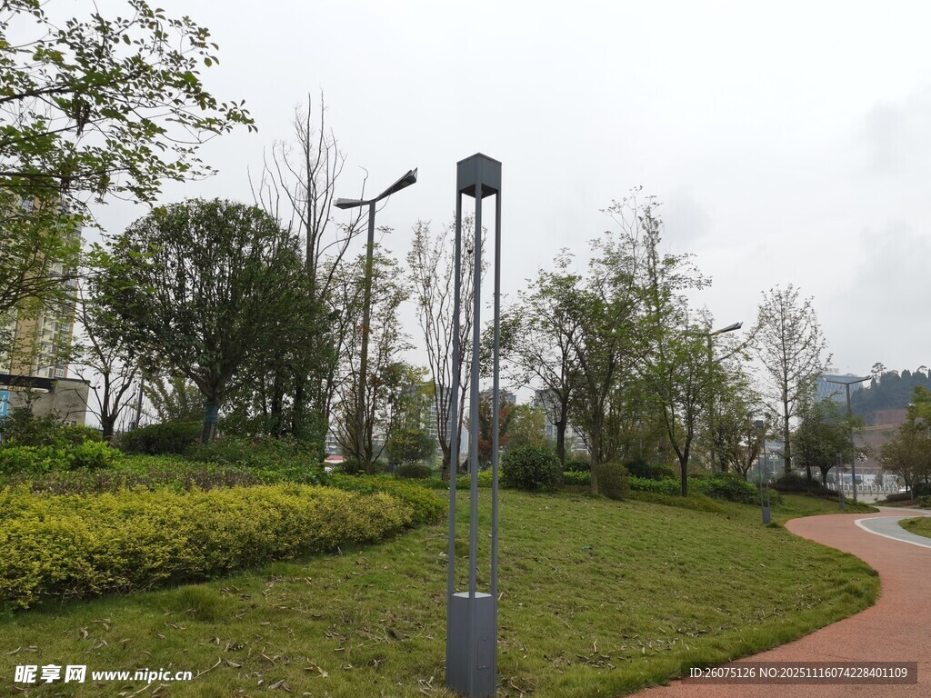 公园中的太阳能路灯景观