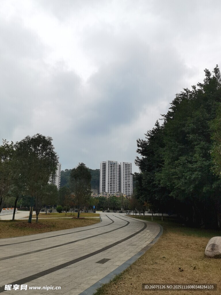 城市公园中的蜿蜒步道