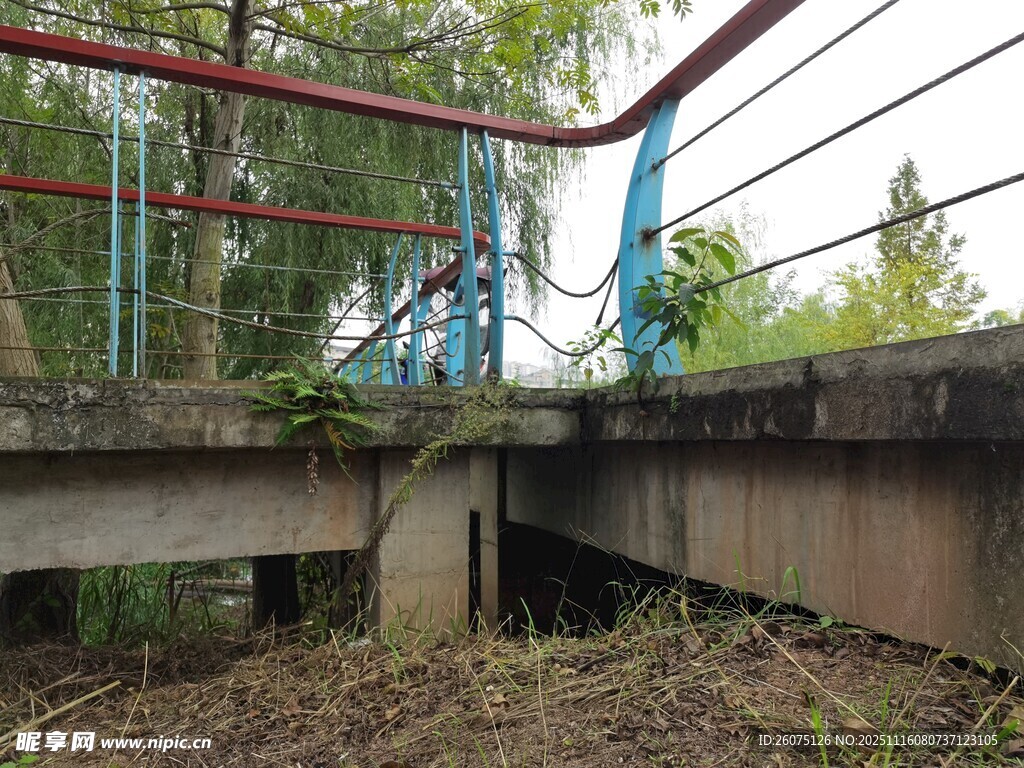 废弃桥梁下的自然景象