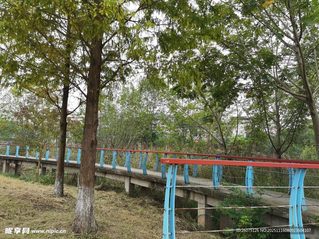 林间彩色木桥风景