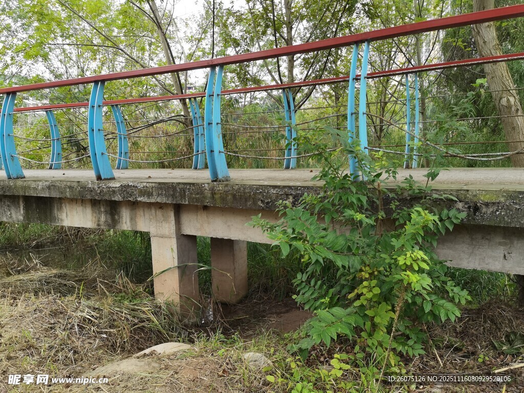 乡村简易小桥风景