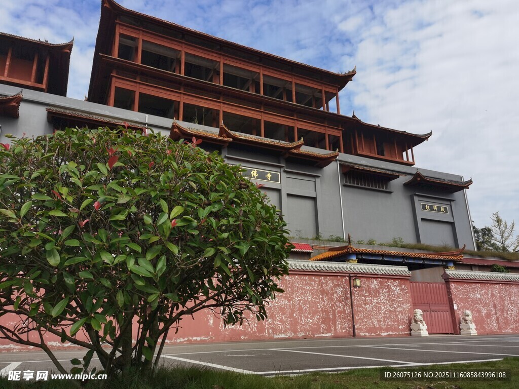 中式古建筑旁的葱郁绿树