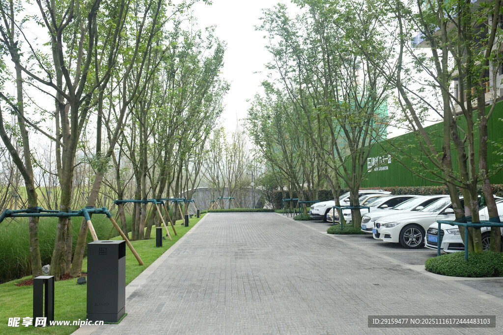 林荫下的停车道路景观
