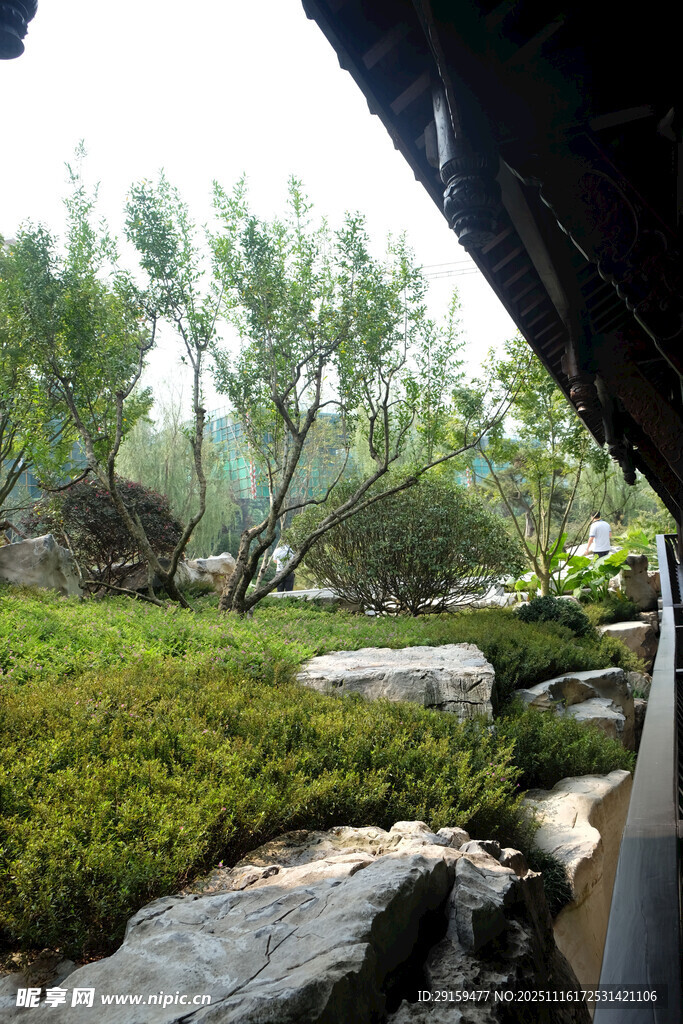 户外自然景观中的绿植岩石