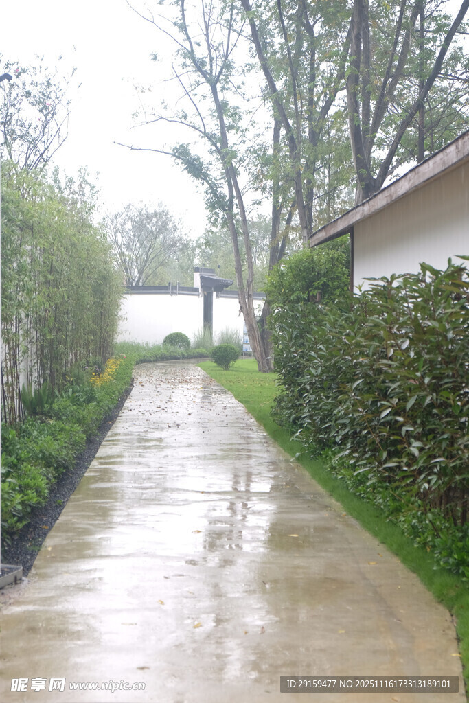 雨后湿润的庭院小径