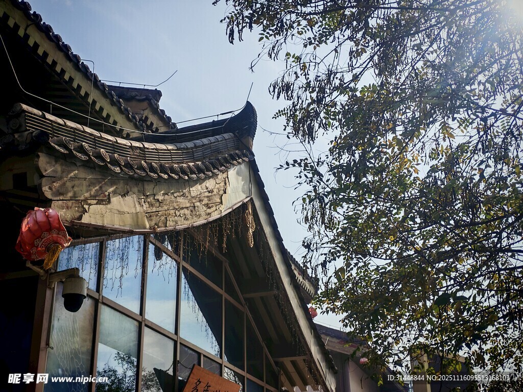 古雅屋檐与窗外绿树景致