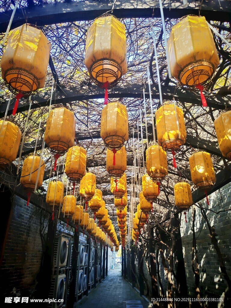 街道上悬挂的串串黄灯笼