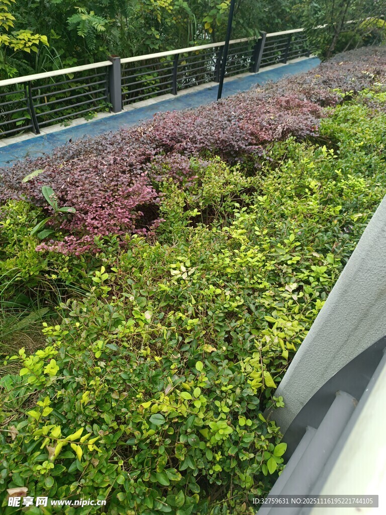 屋顶多彩绿植景观