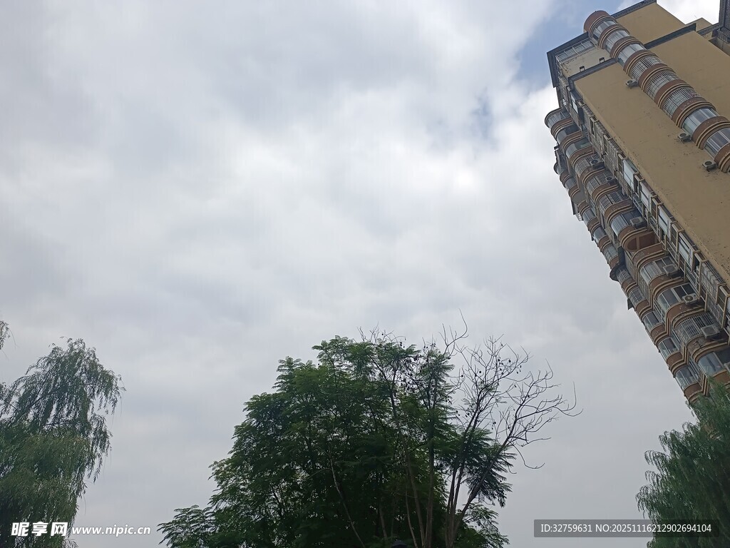 高楼旁绿树与多云天空