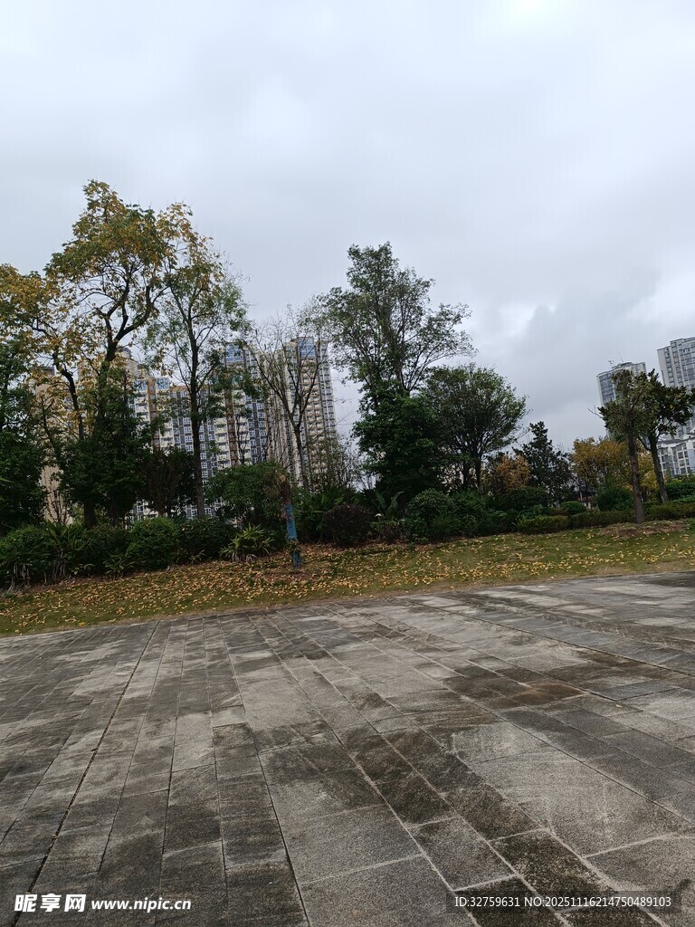 空旷户外的树木与地面