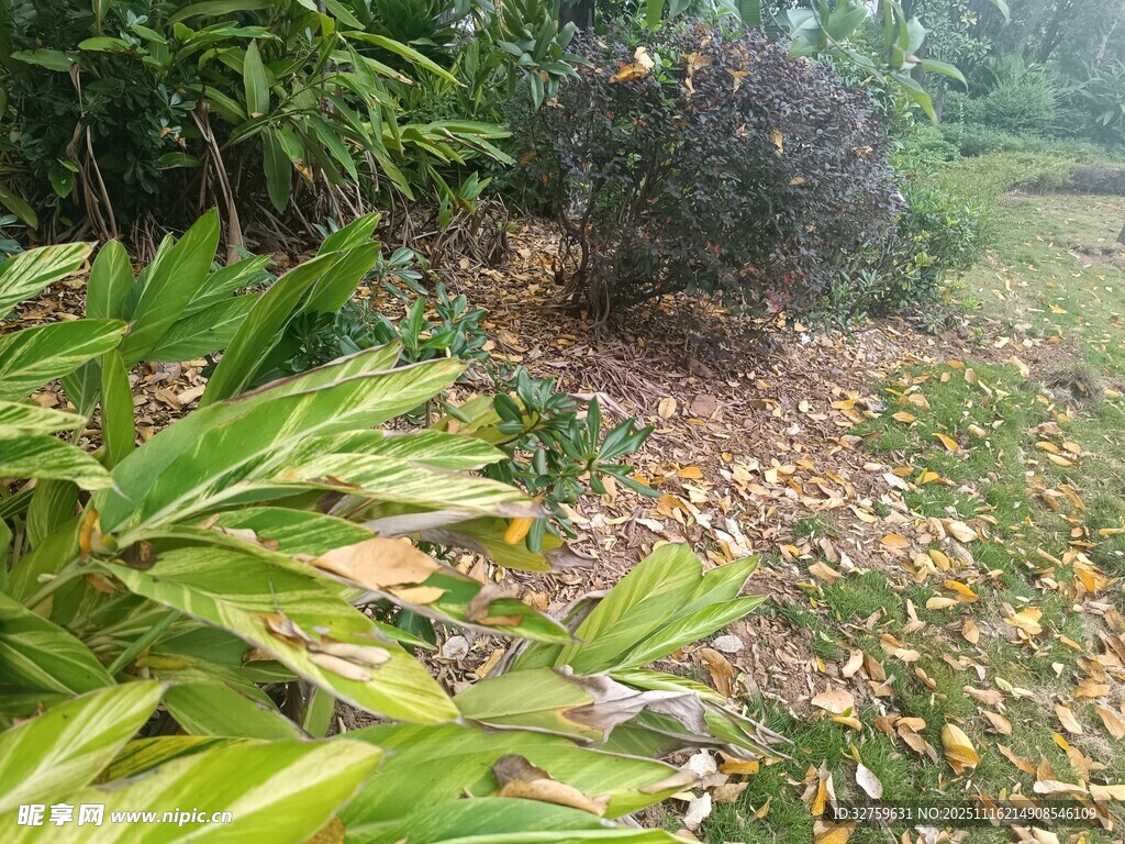 户外绿植景观一角