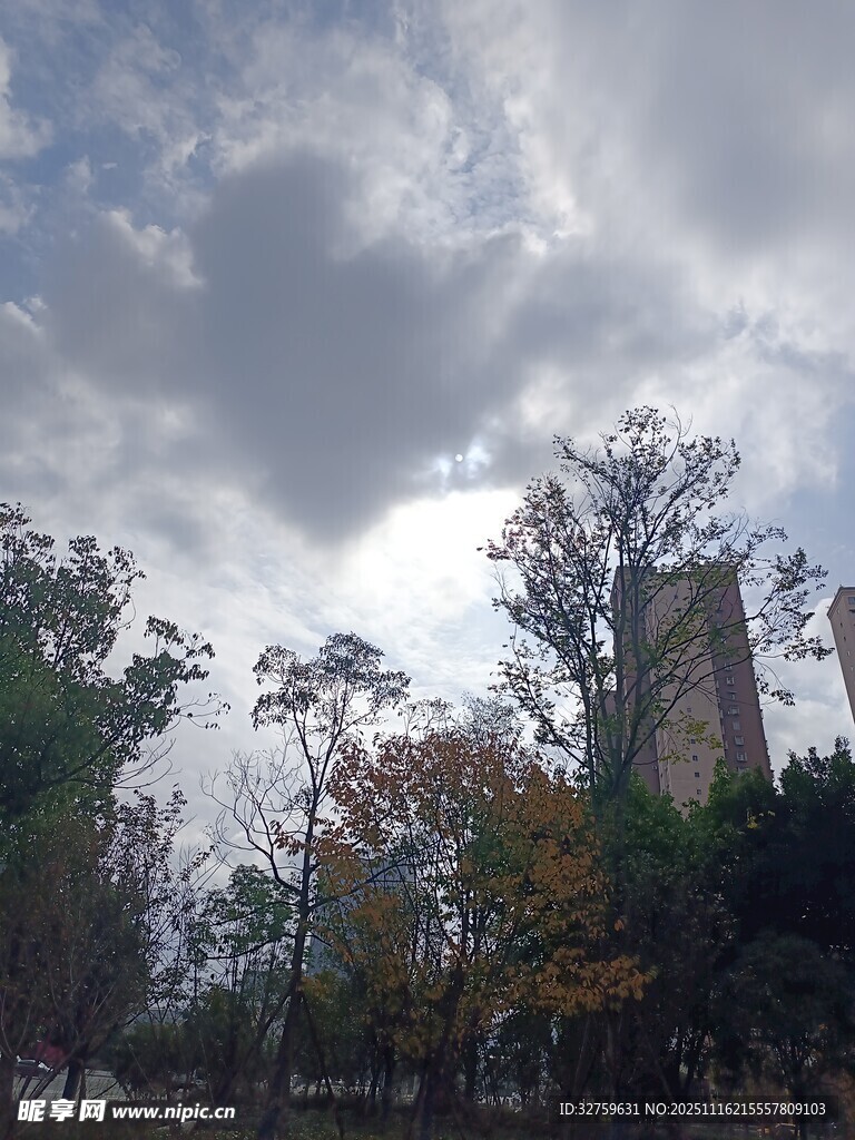 秋日树林中的古老建筑