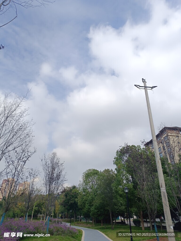 公园小径旁的绿树与路灯