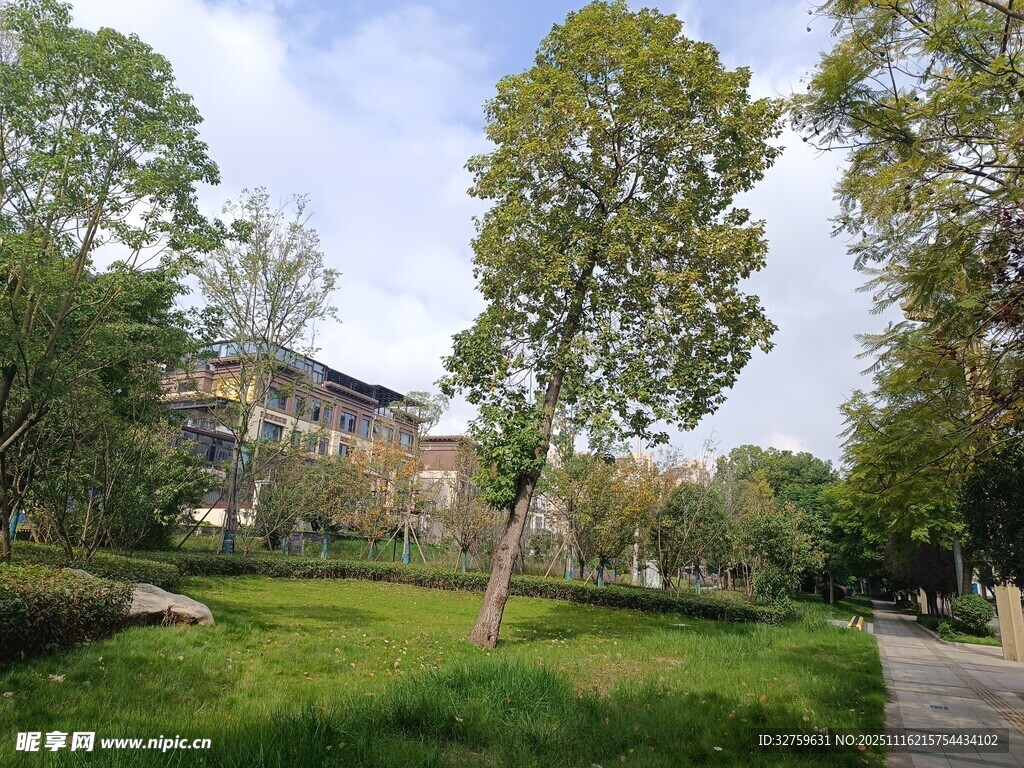 宁静校园绿地景观