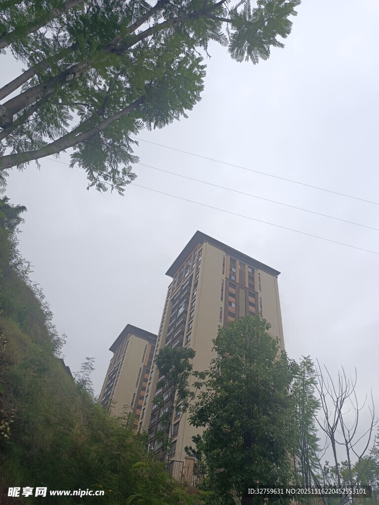 绿树环绕中的高楼建筑