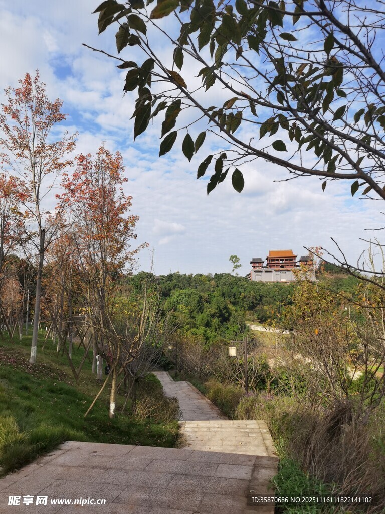 自然景观中的蜿蜒小径