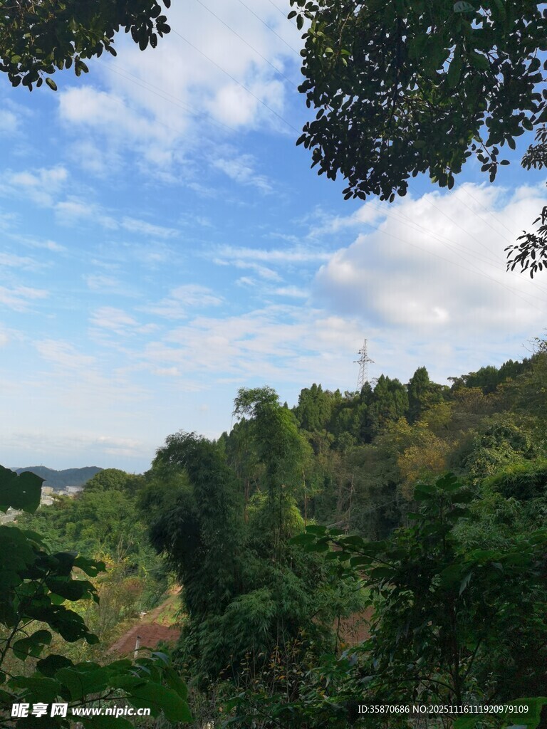 山林间的蓝天绿树美景