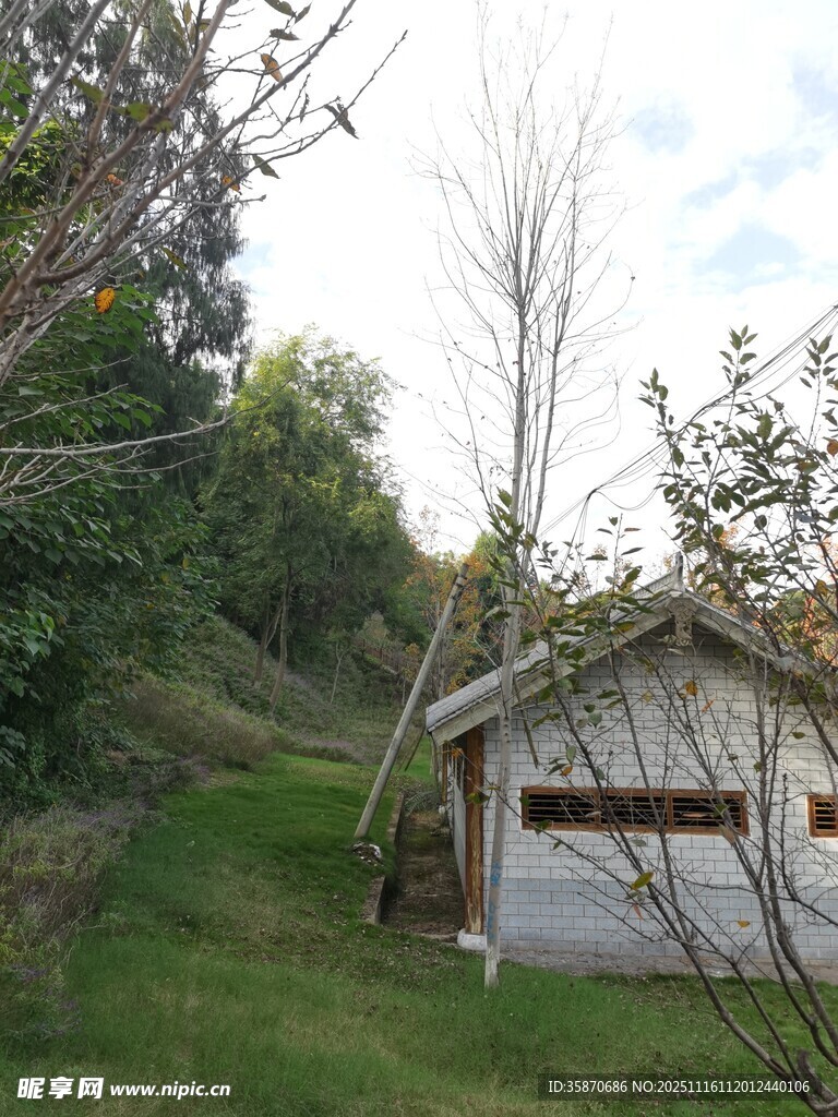 林间小屋自然静谧之景