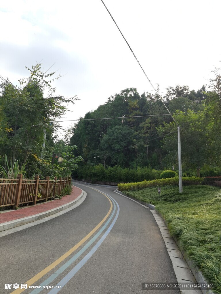 蜿蜒乡村公路风景