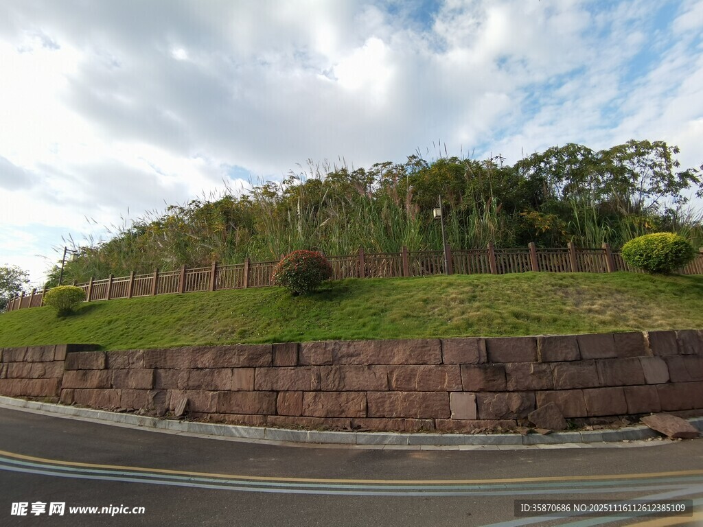 路边绿植护坡景观