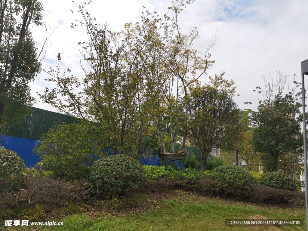 户外绿化景观场景