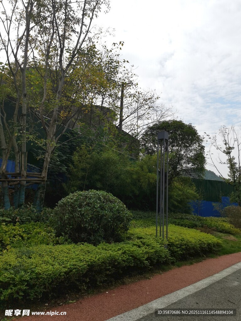 城市街边绿意盎然的景观