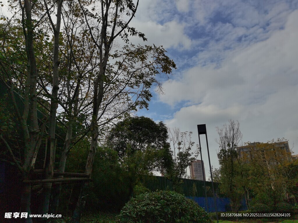 户外自然景观中的高塔