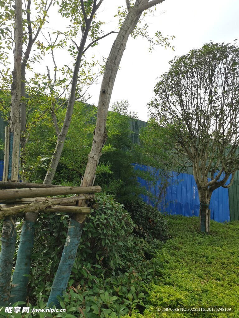 林间木架与葱郁绿植景观