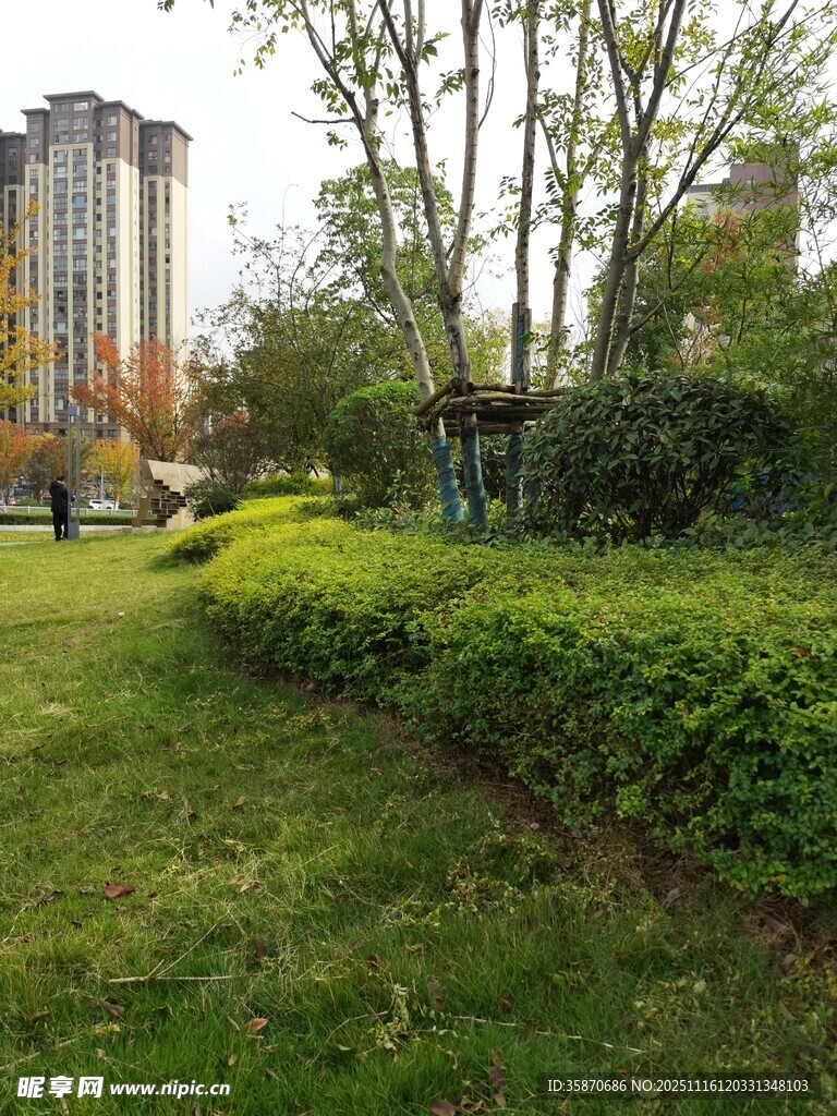 城市中的绿意盎然公园景致