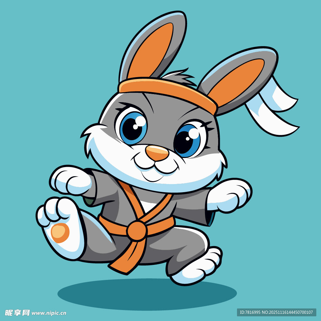 功夫小兔展英姿