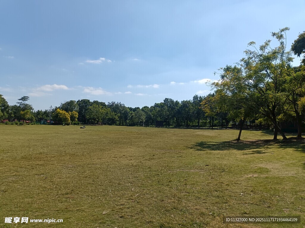 开阔草地与远处树林景观