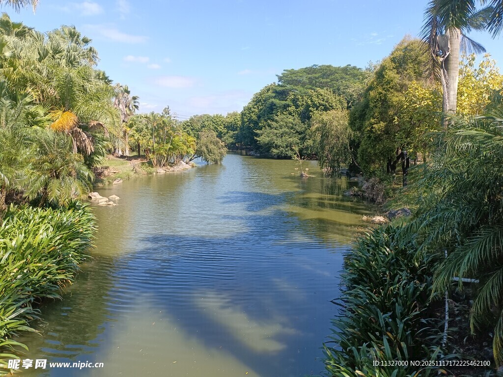 宁静河畔的自然美景