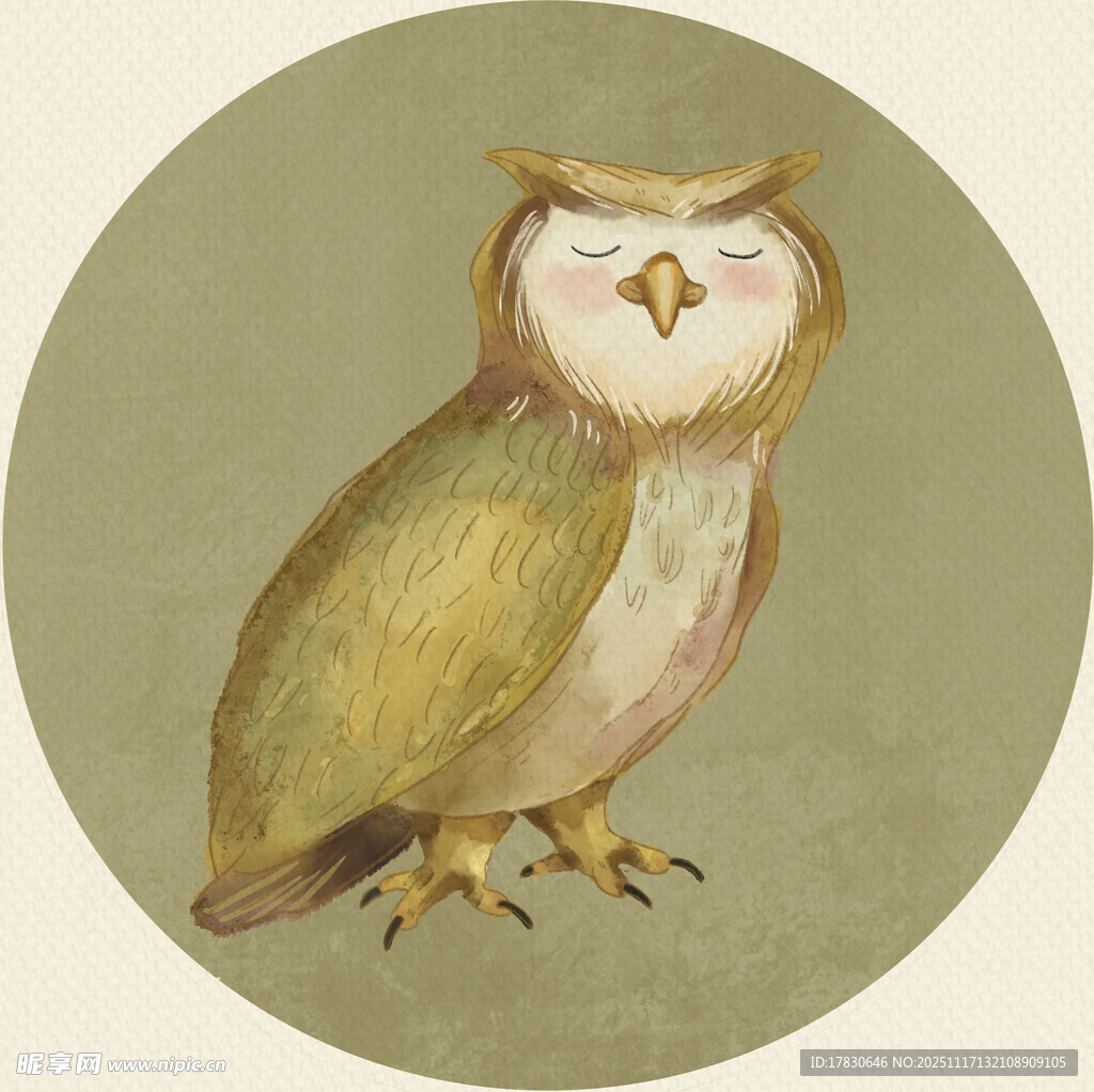 复古风猫头鹰插画