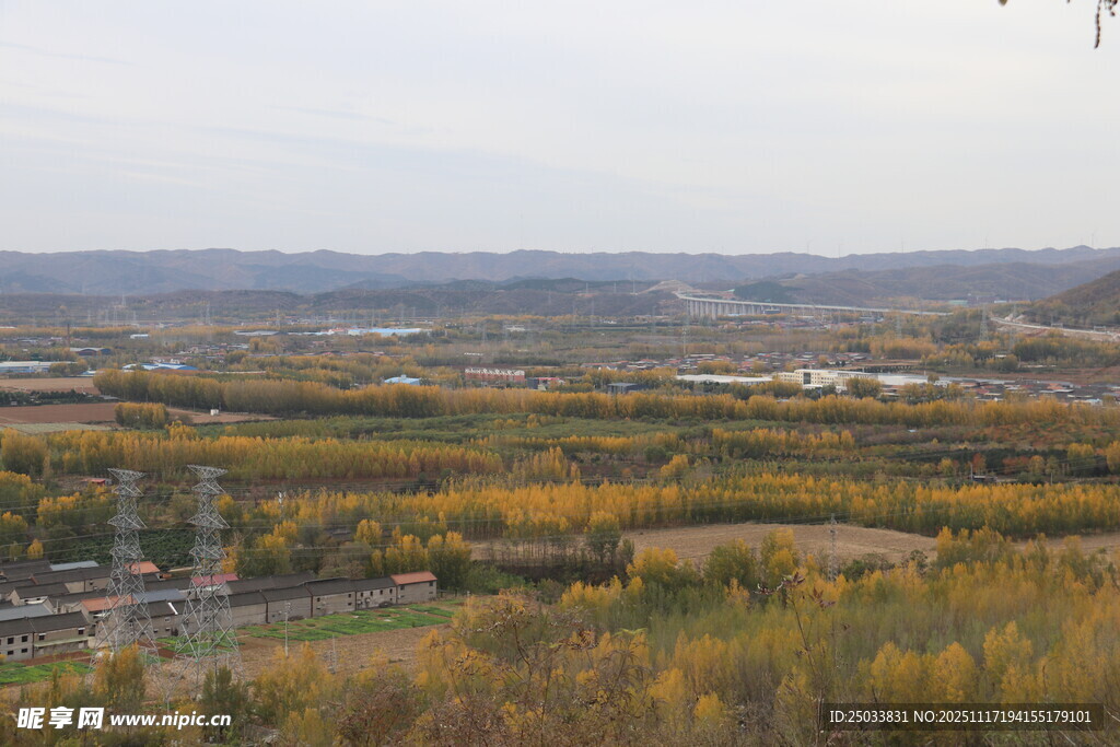 秋日广袤田野风光