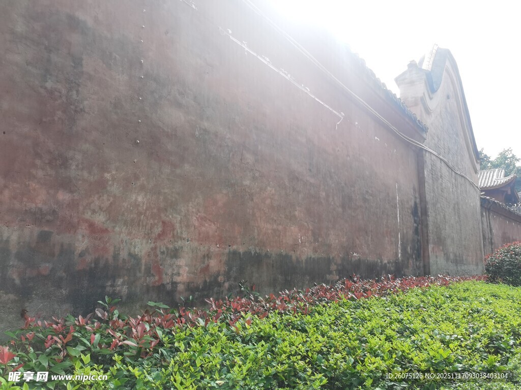 古墙下的绿植景观