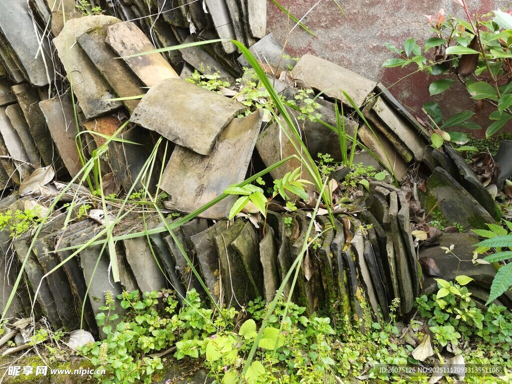 废弃瓦块与绿植堆叠景象