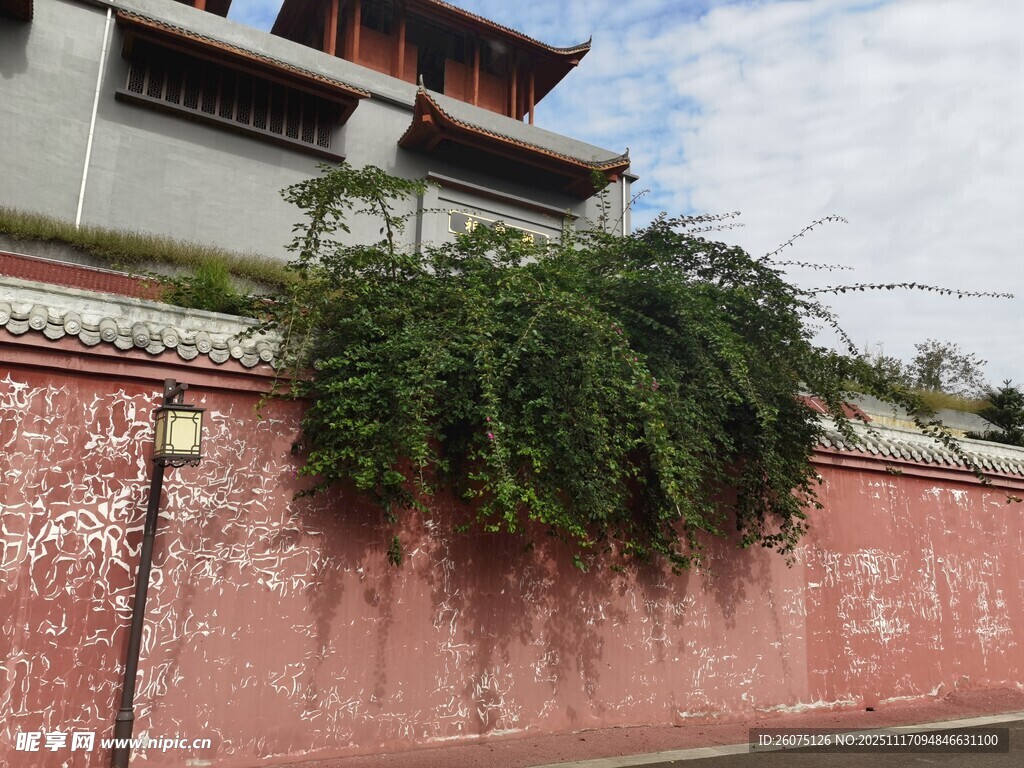 红墙绿植古建筑景致
