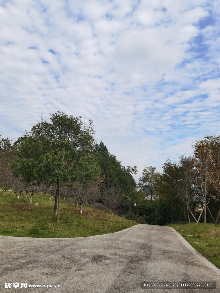 乡村公路旁的自然景致