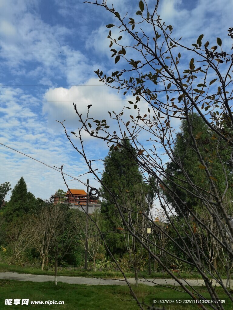 郊外风景远处建筑与树木